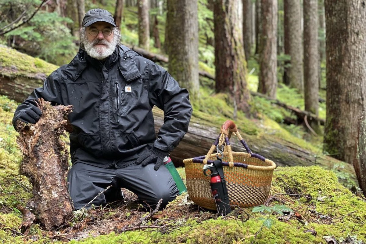 Take some time this week to dive deep into the heart of nature and have some foraging fun! 🍄 #tbt