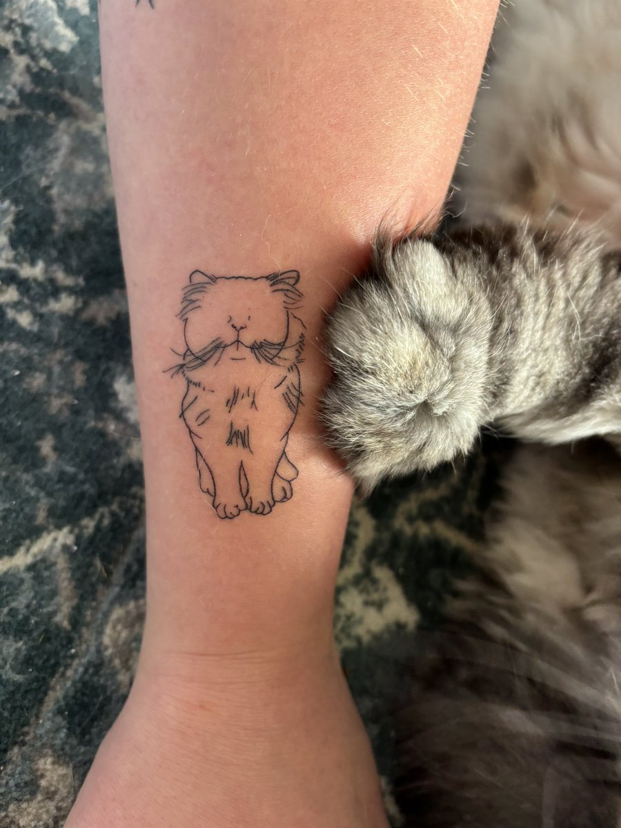 Joy Stempher tweet media