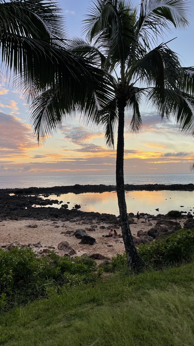 On route back to NJ ✈️ and feeling grateful for the opportunity to engage with HCI scholars and industry professionals conducting inspiring work. Until next year! #CHI2024