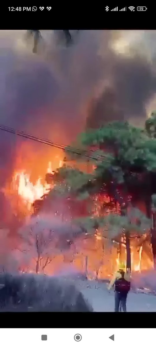 viogu's tweet photo. Los incendios forestales de Jalisco ya COBRARON UNA VIDA. Ayer, falleció Alejandro Álvarez Ruan, brigadista voluntario que combatía un voraz incendio en Mascota, confirmó el ayuntamiento; el fuego está fuera de control y el Estado no se pronuncia porque no era de sus brigadas. https://t.co/6869Hlsvtx
