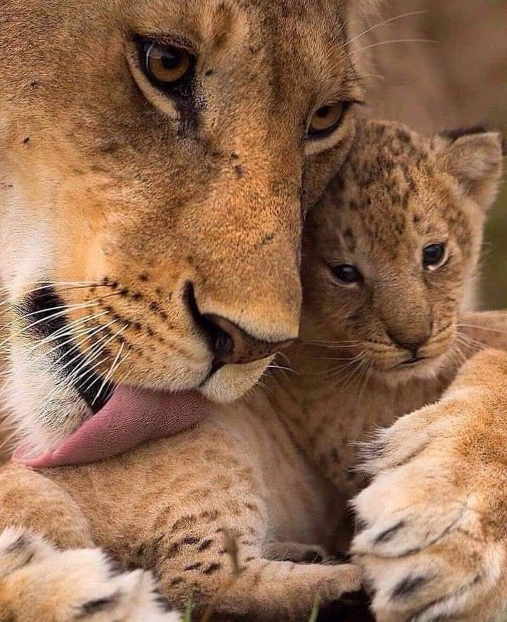 Tender moment ♥️