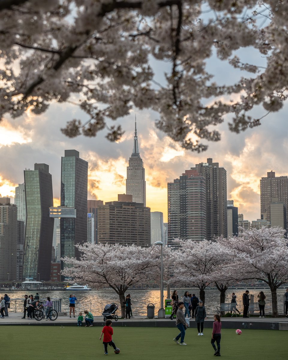 You are my flower 📷: mrgreen_photography/IG