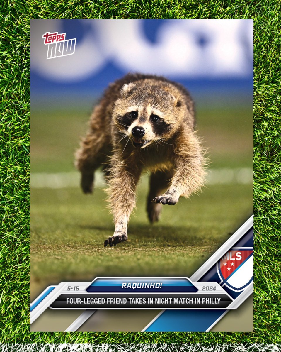 𝗝𝗨𝗦𝗧 𝗜𝗡: The raccoon who invaded the pitch at yesterday’s game is getting his very own MLS trading card…available now.