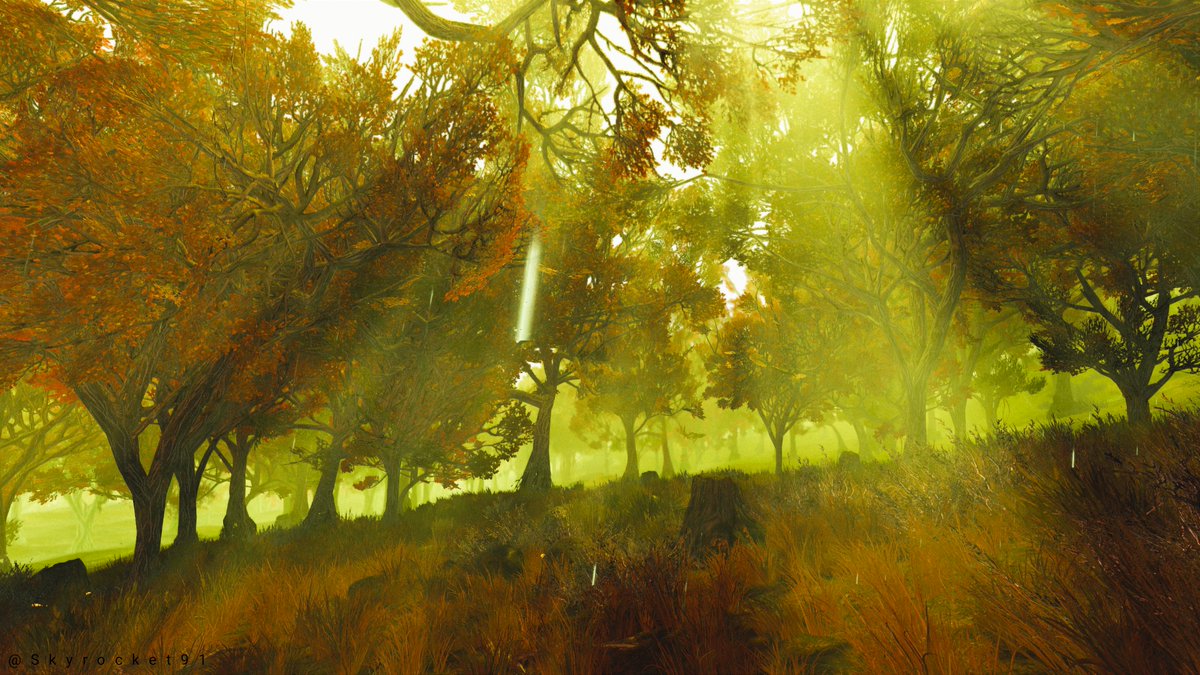 Appalachia ⚡

#Fallout76 #PSBlog #PS5Share #VPGraph #FutureVPSupport #VirtualPhotograpy #VGPUnite  #VPRT #ArtisticofSociety #VPGamers #ThePhotoMode #VPVGPRT 

@BethesdaStudios