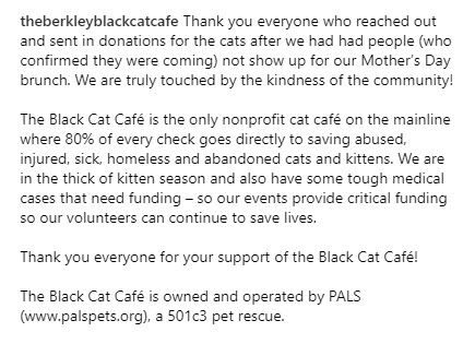 Thank you everyone for your support of the Black Cat Café!

#blackcatcafe #radnorpa #devonpa #mainlineeats #mainlinepa #phillyburbs #nonprofit #catcafe #catrescue #kittenrescue #eaterphilly #foodielife #cozycafe #foodies #mainlinephilly #phillyeats #mainlinelife #mainlineliving