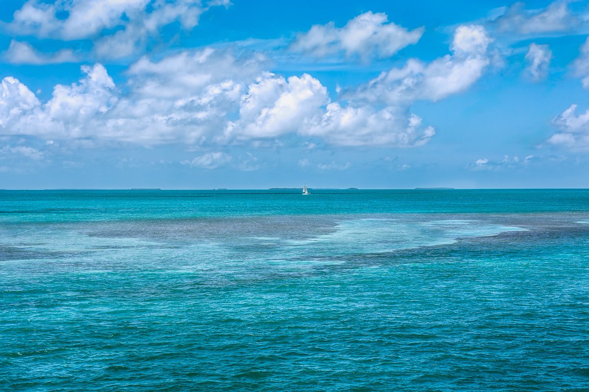 An iconic Florida Keys scene is seen from the Old Seven Mile Bridge off of Marathon Key. A sailboat is peacefully sailing along in the background. 

Shallows is available at fineartamerica.com/featured/shall… 

#floridakeys #sevenmilebridge #florida #gulfofmexico #photography