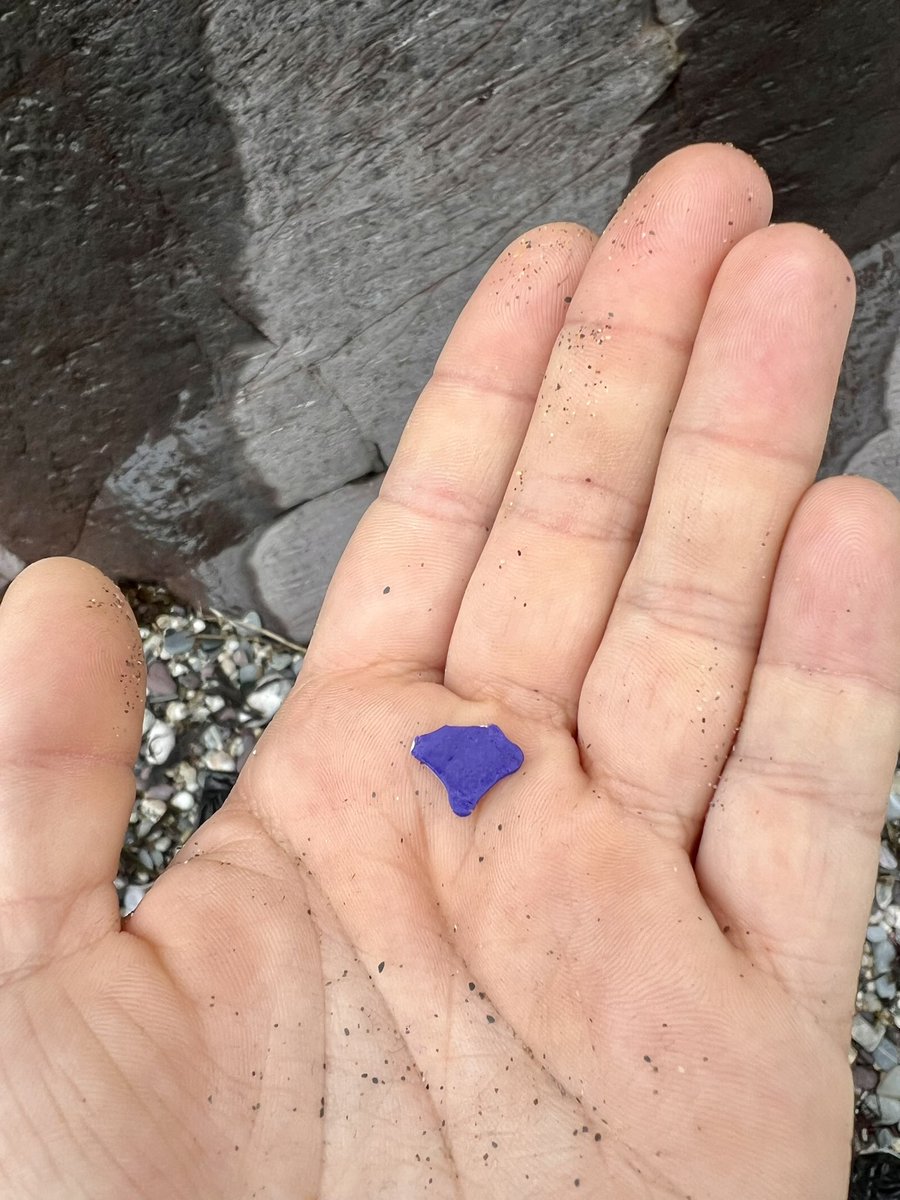 These little purple squares have been washing up here for years, and we still don’t know what they are! #BeachClean #Litterpick #Torbay