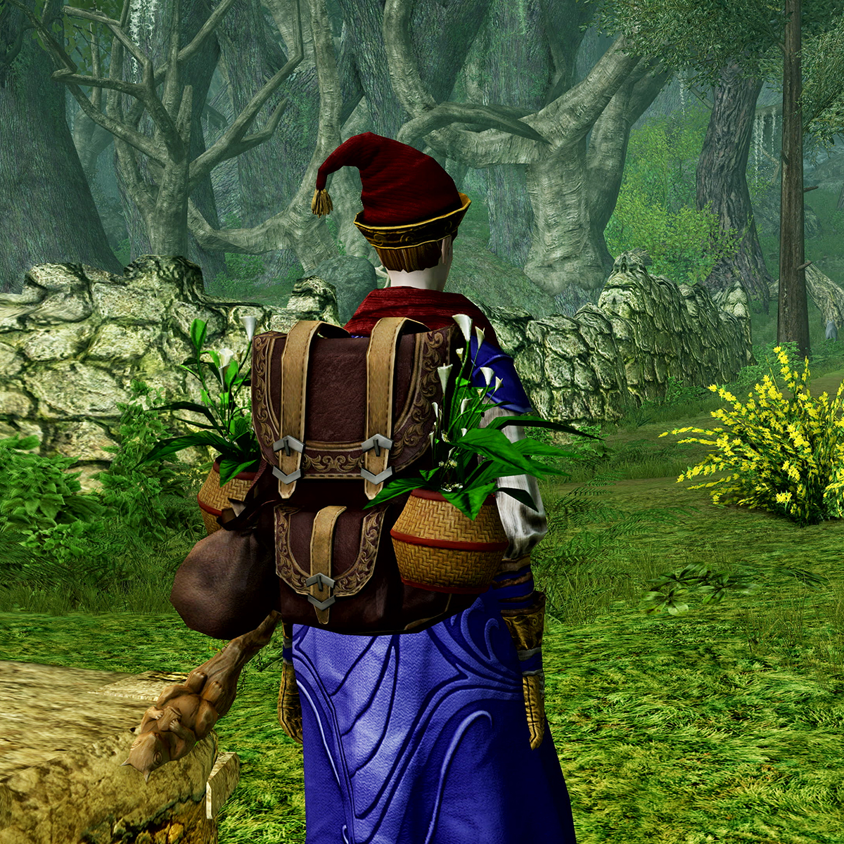 The Whimsical Patron’s Coffer is available in the LOTRO Store through May 26th! Get more information about this new limited time offer on LOTRO.com: lotro.com/news/lotro-whi… #LOTRO