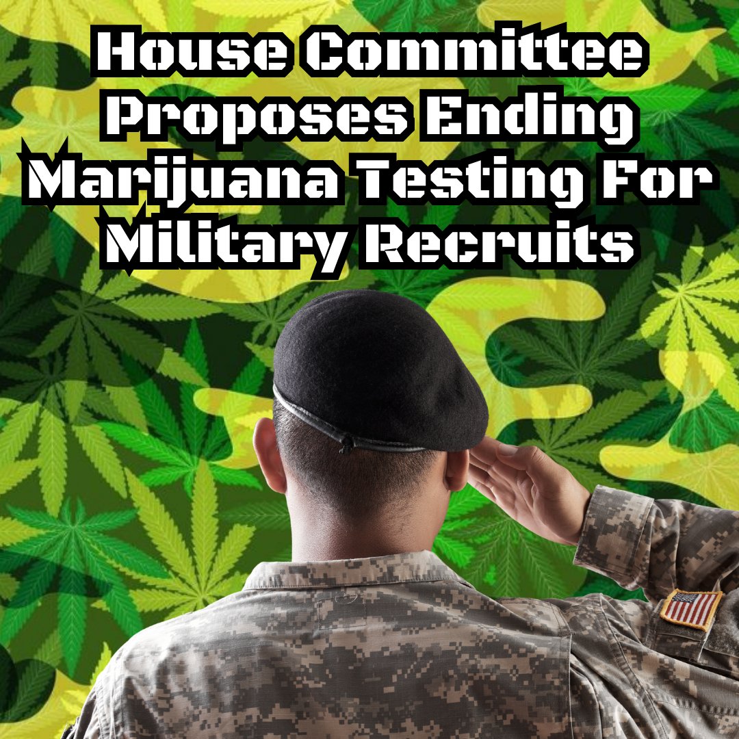 House Committee proposes ending marijuana testing for military recruits in defense bill. A step towards fairer policies! 🇺🇸 #MilitaryPolicy #CannabisReform highat9news.com