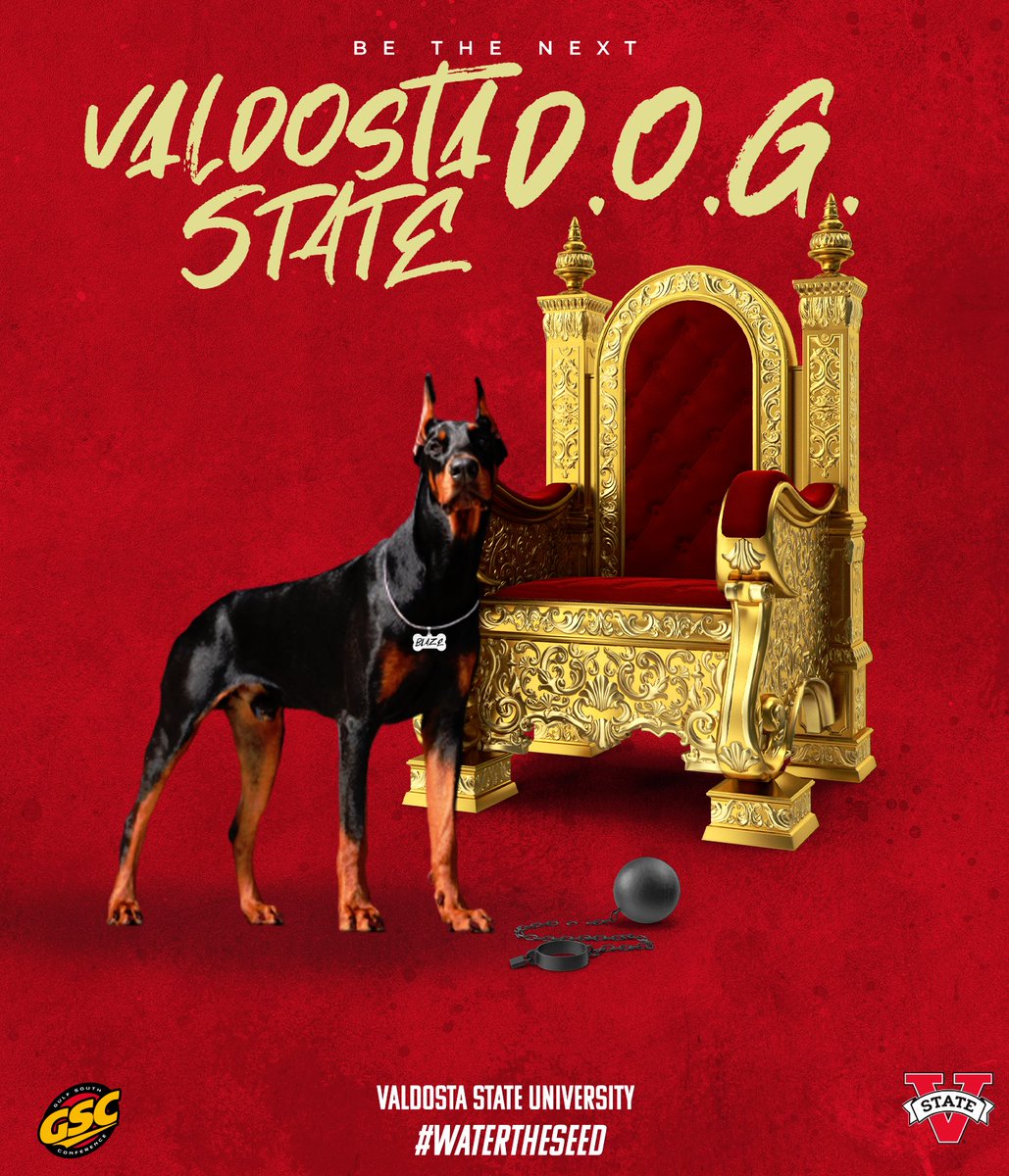 🔎🔎WE ARE ON THE HUNT FOR THE NEXT VALDOSTA STATE D.O.G. SHOW US WHY THATS YOU🫵 Sign up for Prospect Camp here⬇️ tinyurl.com/3tmtnpxx #WTS