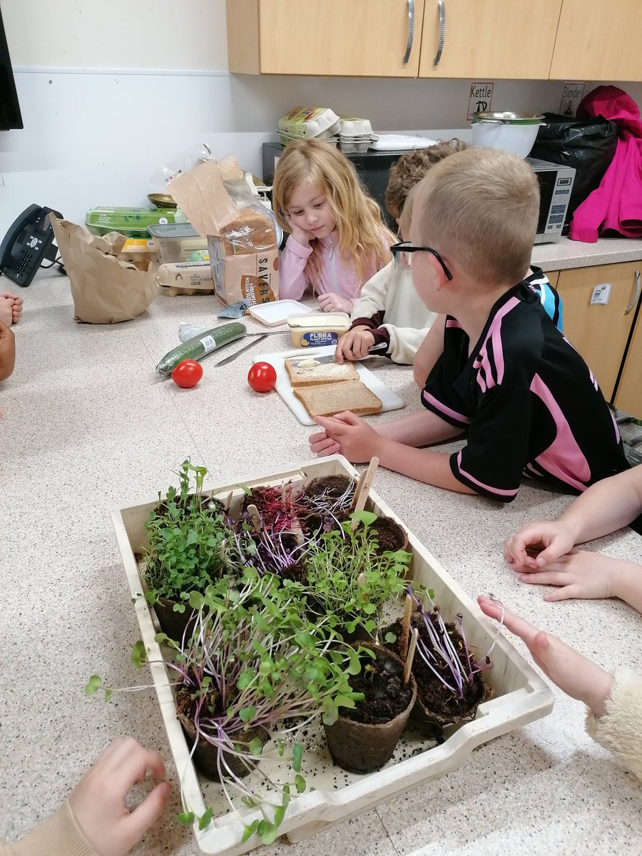 Llanishen Fach tweet media