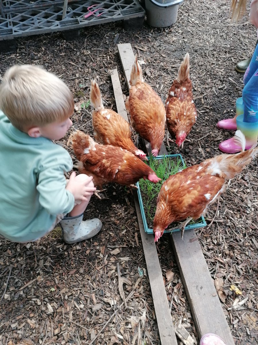 Llanishen Fach tweet media