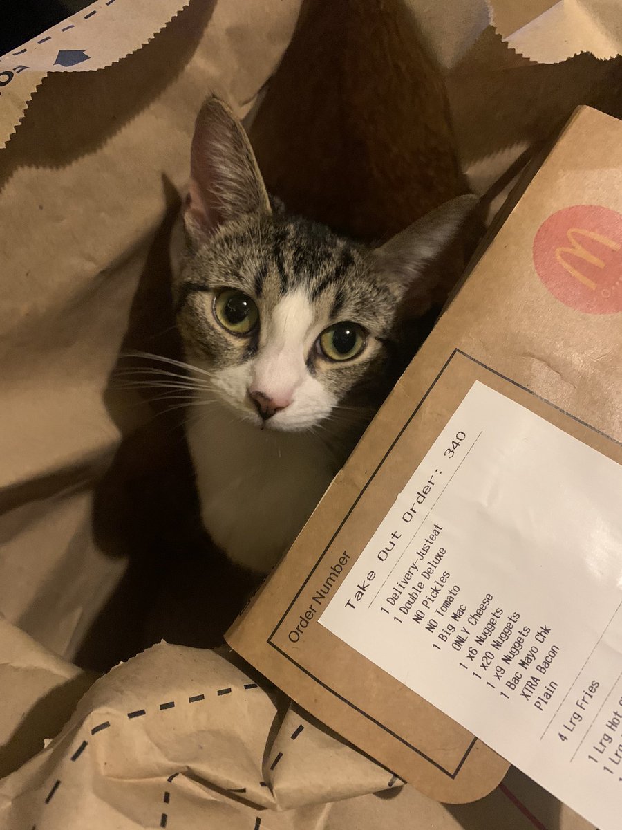 I don’t think this was part of my order <a href="/McDonaldsUK/">McDonald's UK</a> 😅 #BiscuitTheCat