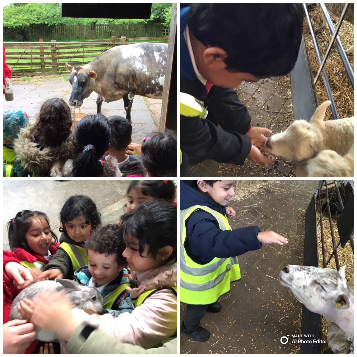 Our nursery pupils enjoyed a day at the farm, seeing animals like sheep, goats, horses, donkeys and pigs. They also visited birds of prey and reptiles, fed the animals, and helped the farmers. Each child took home a free-range egg from the chicks for breakfast #WeAreStar