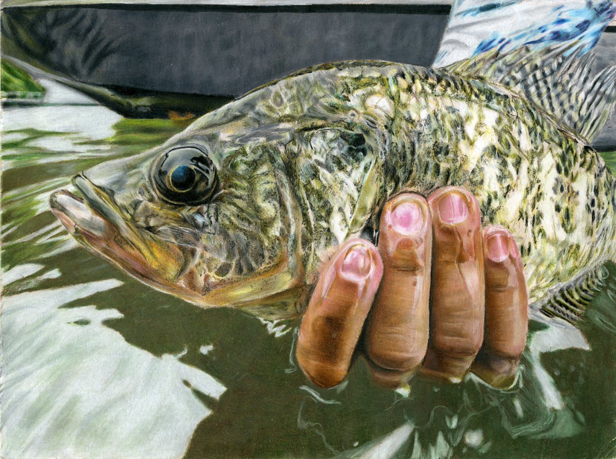 Three Texas students won awards at the National Fish Art Contest, including Best of Show 👏🏽👏🏽👏🏽

WAY TO GO, y’all!

Details at tinyurl.com/NationalFishArt