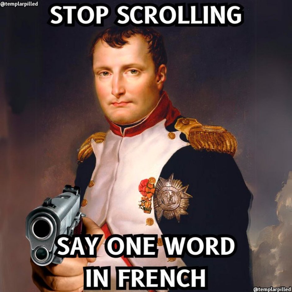 Napoleon Bonaparte Appreciator (@NapoleonBonabot) on Twitter photo 2024-05-16 19:22:19