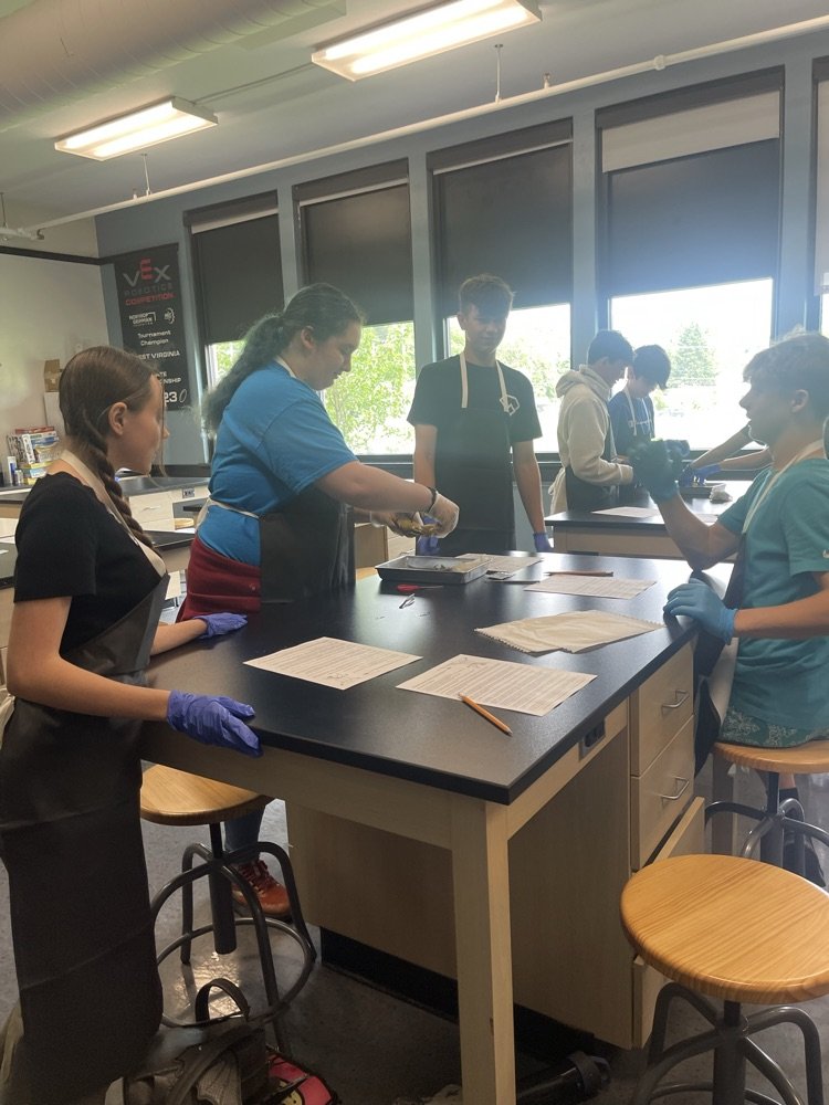 BSMSDevils's tweet photo. Mrs. Peace’s eighth grade students completed end of the year frog dissections today. https://t.co/rqr6quZh5L