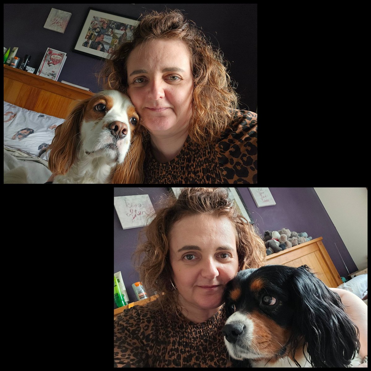After a very mentally tiring day, cuddles with the boys was just what I needed this eve 😍 #cavpack #dogsarelove