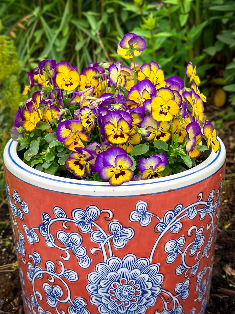 I have a thing for beautiful flowerpots. One of my favorite ways to use them is to raise up shorter plants like these adorable pansies.
#homeandgarden #gardendesign #flowers