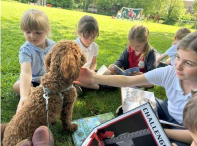 Radbrook Primary School tweet media