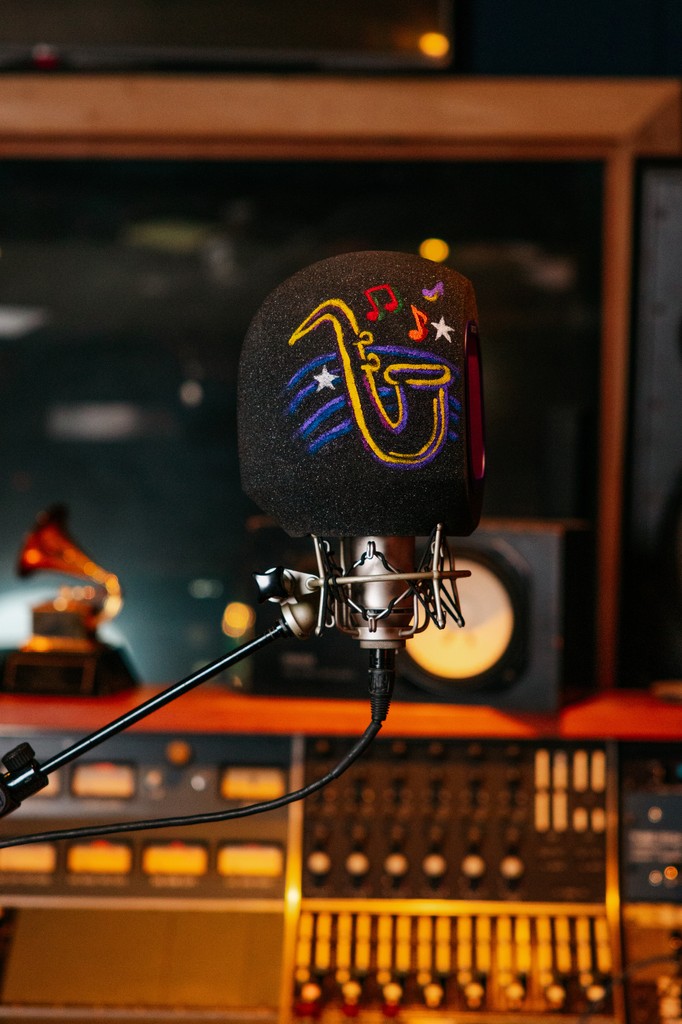 Pop, lock, and record! Our Pro-Series Pop Filter keeps those unwanted sounds at bay.

#AudioEssentials #iconicmars #studioengineer #recordingmusic #musician #microphone #producerlife #musicproducer #musicproduction #recordingartist