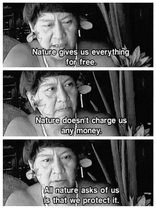 All nature asks of us is that we protect it..