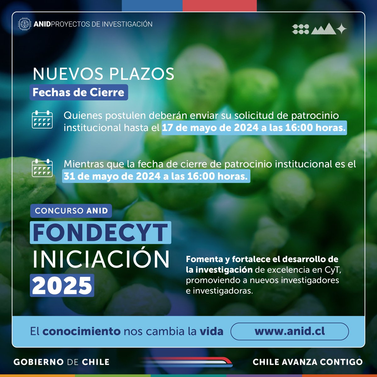 Durante la mañana de hoy, 16 de mayo, experimentamos algunos problemas con nuestro Sistema de Postulación en Línea. Por ello, se modificaron las fechas de cierre del Concurso de Proyectos #FondecytdeIniciación en Investigación 2025. Revisa las modificaciones en la imagen 👇