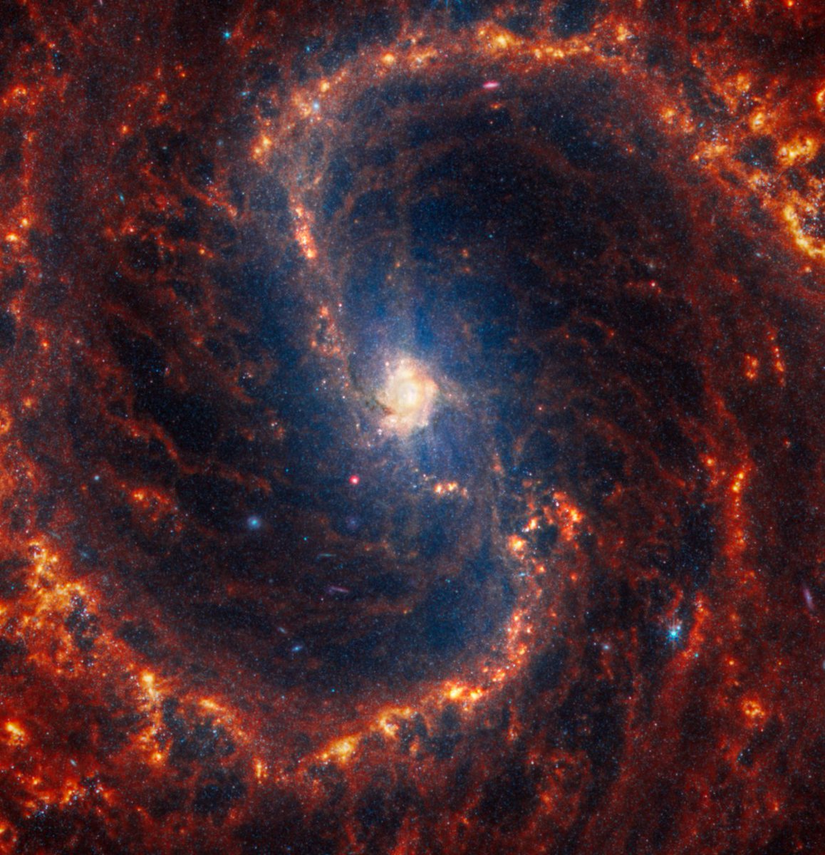 Quick: How many space words can you think of that start with S? Spiral galaxy and Stars are featured in Webb's image of NGC 4535. Look for knots of bright red and orange prominent at the outer edges of the arms. These are regions of star formation! More: go.nasa.gov/3V6Nthe