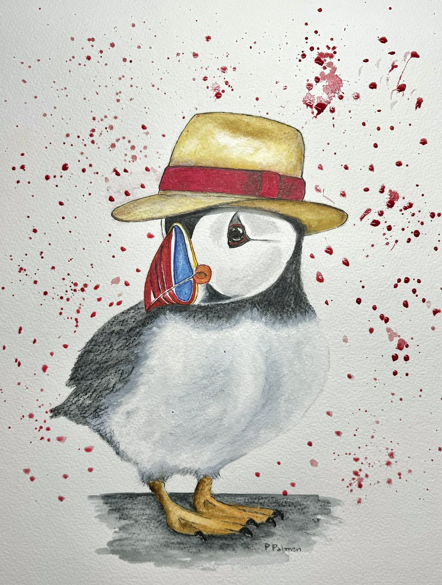 My latest watercolour creation  ‘Puffin with a Panama  hat’  30x40 cm 
#watercolourpainting #watercolourart #puffins #birdlovers #birdland #acuarelasobrepapel #pajaros #art #arte #contemporaryart #artecontemporaneo #petrapalmeriart #guernsey