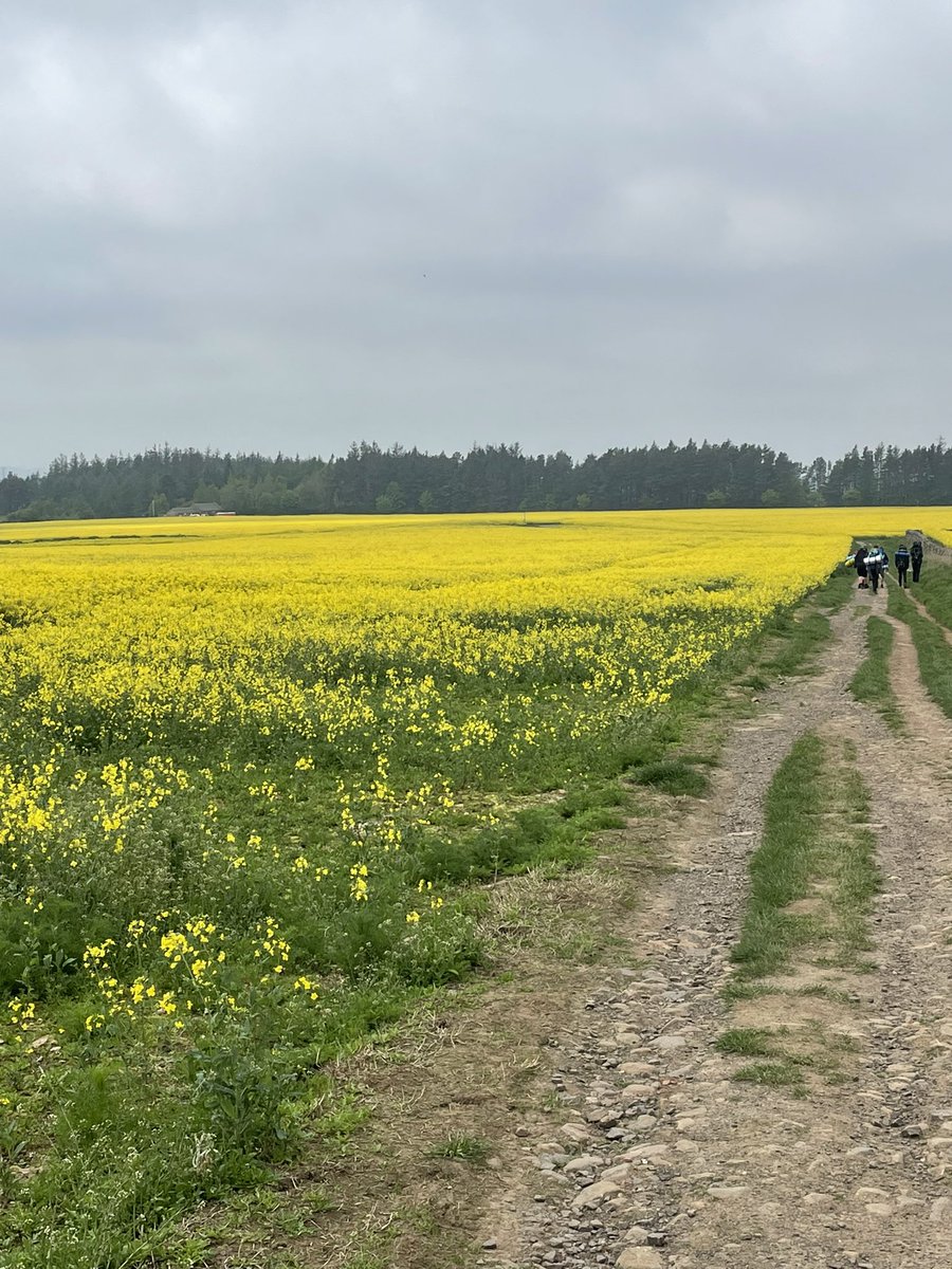 St Modan's Duke of Edinburgh Group (@dofestmodans) on Twitter photo Day 2 - DofE Bronze Expedition - Foggy start, not as many happy faces but we got some but still amazing kids! What a fantastic few days. Well done everyone 🎖️🏔️🥾 <a href="/StModansHS/">St Modan’s High School</a> <a href="/DofEScotland/">DofE Scotland</a> #thepentlands #dofebronze Day 2 - DofE Bronze Expedition - Foggy start, not as many happy faces but we got some but still amazing kids! What a fantastic few days. Well done everyone 🎖️🏔️🥾 <a href="/StModansHS/">St Modan’s High School</a> <a href="/DofEScotland/">DofE Scotland</a> #thepentlands #dofebronze
