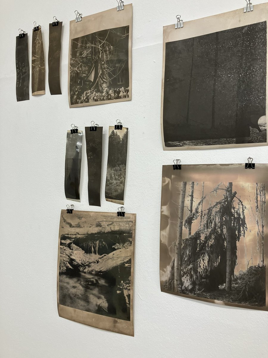 Grumpy2Mummy's tweet image. Exhibition Die Grüne Kammer: Magdalena Chan with highly fixed pictures (I guess one can over fix pictures 😛) ❤️