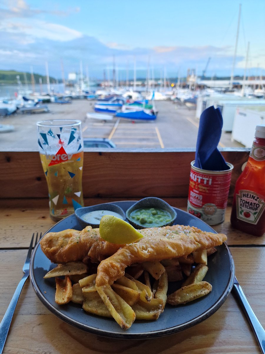 Devon&Moor southwest guided tours tweet media