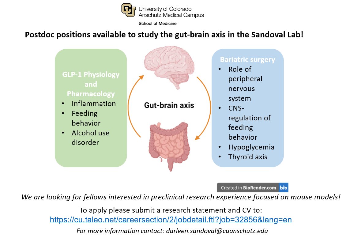 Sandoval lab is hiring postdoctoral fellows interested in studying the gut-brain axis! DM for information or apply here: cu.taleo.net/careersection/….