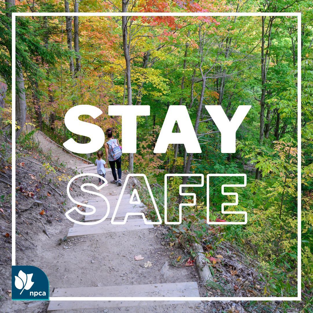 Stay safe while exploring the great outdoors! Be mindful of ticks, water safety & rules and regulations of NPCA parks. buff.ly/3vjfP8g Keep an eye on kids & elderly swimming & ensure PFDs are used at all times. For tick safety info, visit local public health website.