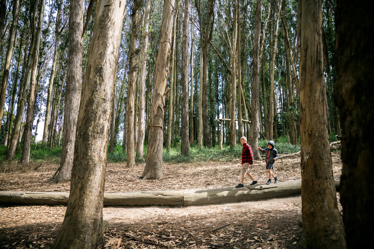 @Presidiosf, spanning almost 1,500 acres, is meticulously preserved through a strong commitment to sustainability, environmental stewardship, habitat restoration, water conservation, and energy efficiency. No wonder it's one of SF's top attractions! bit.ly/44Jcjqh