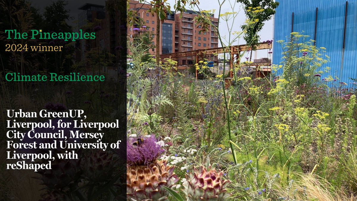 Climate Resilience Winners! Congratulations to Urban GreenUP, Liverpool, for @ @lpoolcouncil, @merseyforest and @LivUni , with @reshapedlandarc #ThePineapples
