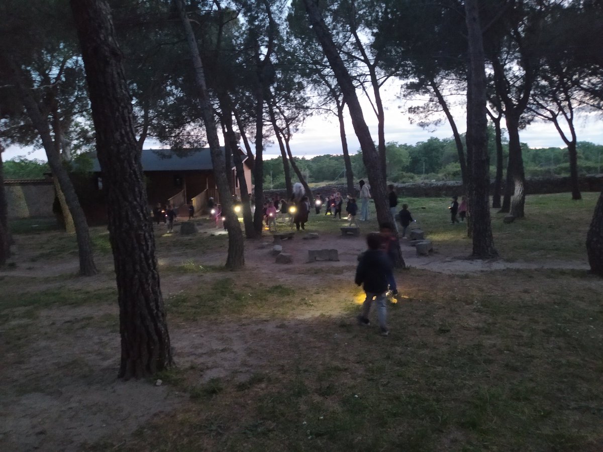 Vanesa Bravo tweet media