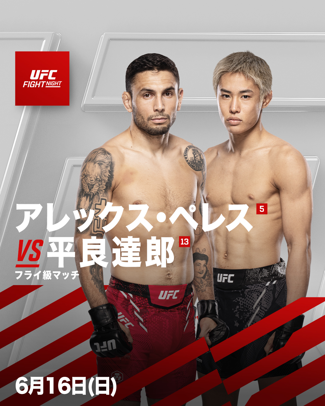 【値下げ不可】UFC限定生産 アレックス・ペレイラ フィギュア TUBERA 訳あり】【限定生産】UFC公式 アレックス・ペレイラ フィギュア