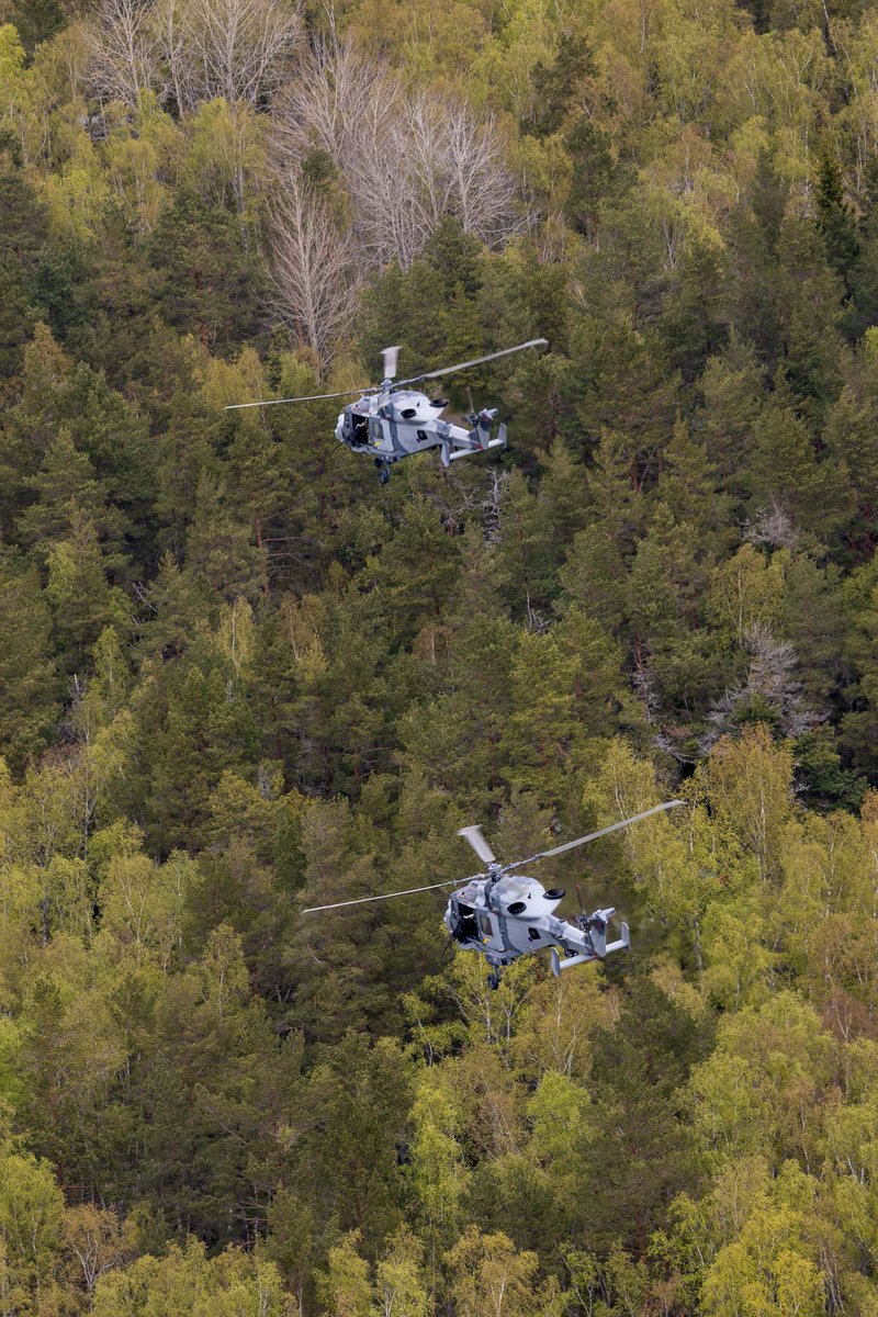 Fotazas de los helos de la #JHC (Joint Helicopter Command, es decir #BritishArmy y #RAF) en Estonia, durante el ejercicio #SwiftResponse, #Wildcat AH.Mk.1 y #Chinook army.mod.uk/news-and-event…
