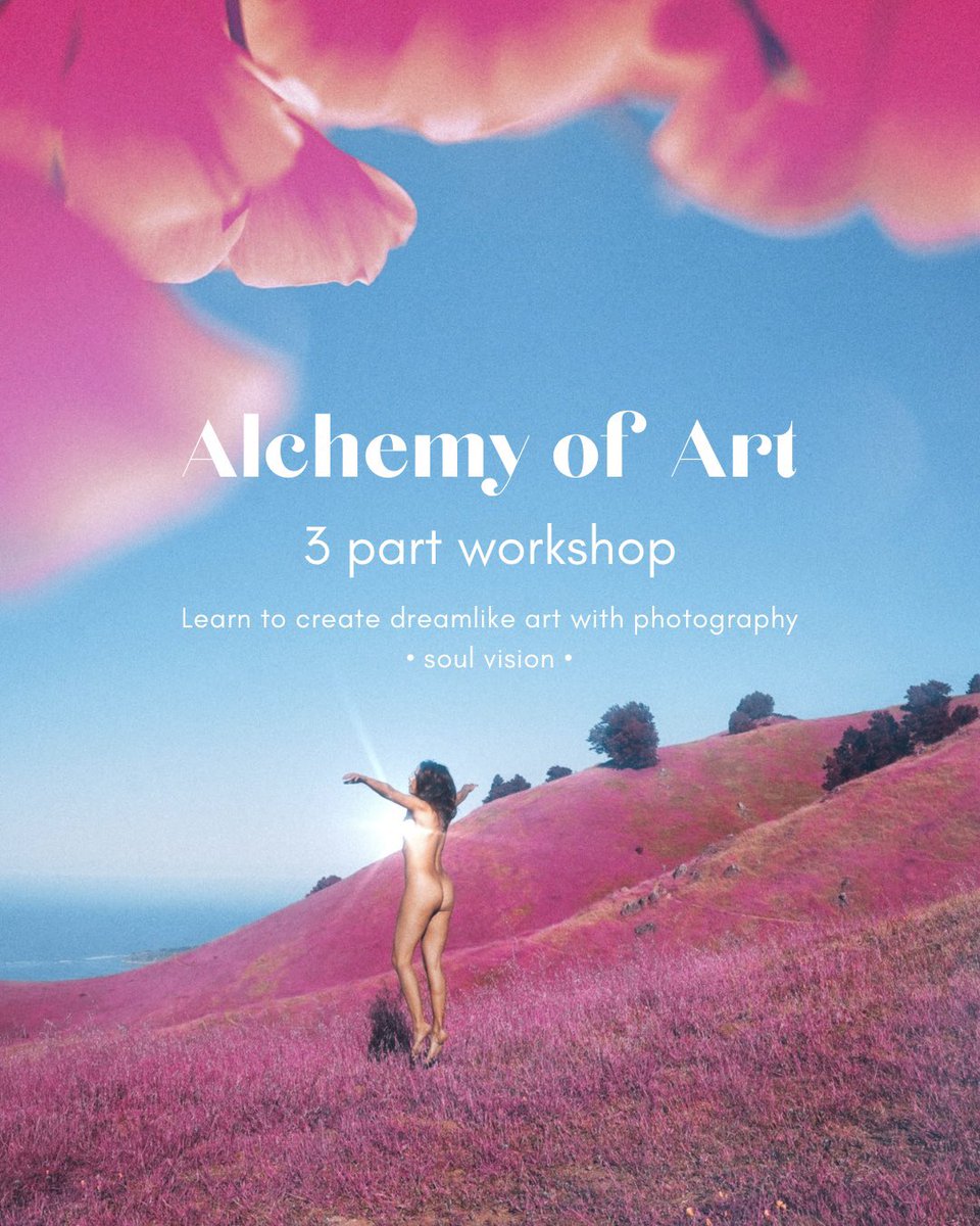 Julia Corbett tweet media