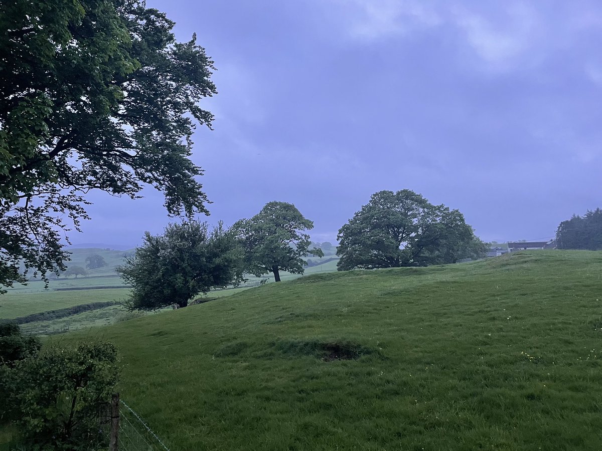 Not had a day off for two weeks now so it is always great to chill and re- charge my batteries in this place. It may be raining again but that’s why it is so green everywhere 🏴󠁧󠁢󠁷󠁬󠁳󠁿 #Eryri #Snowdonia #Bala #Wales