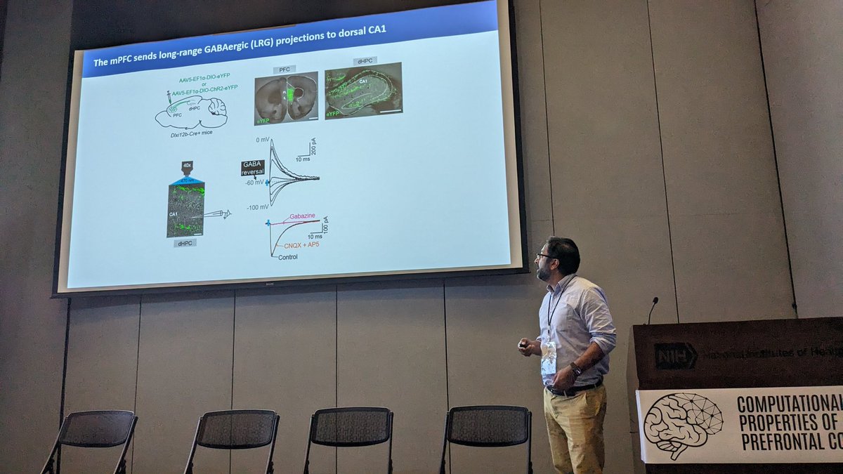 JamesMHyman's tweet image. @sohallab speaks about prefrontal control of hippocampus via a direct gabaergic projection. #cppc2024
