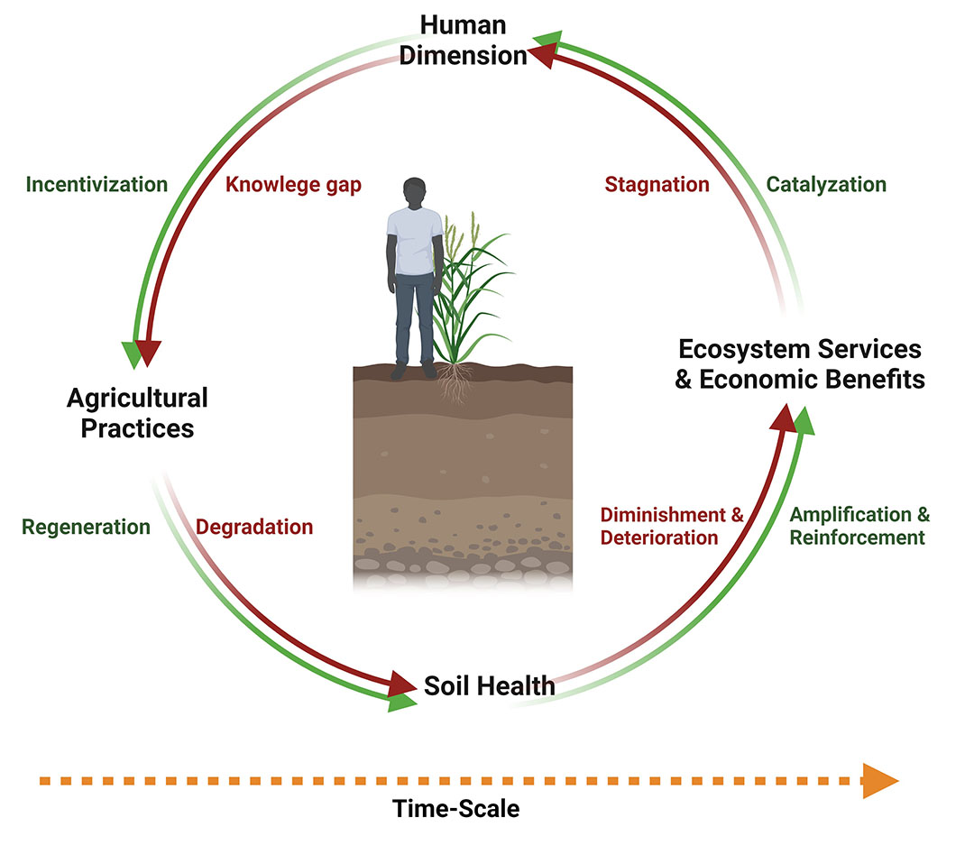 In a new manuscript, #UNL researchers outline the #soilhealth cycle — a systematic approach to improving #soilmanagement practices that highlights the value of soil health knowledge & beneficial policies for producers.» ow.ly/SI0350RIS9r #NebExt #ag #agresearch #Nebraska