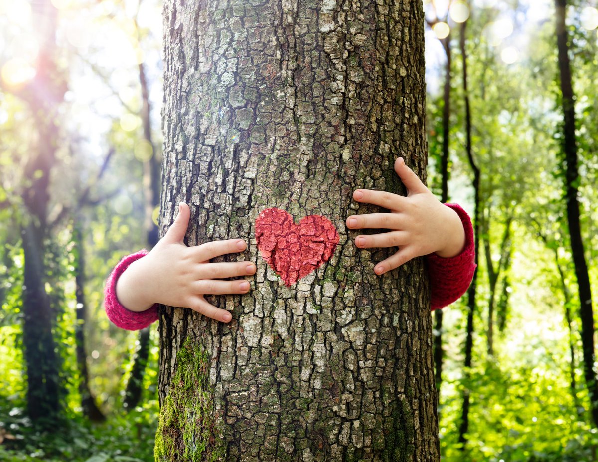 Today is #LoveATreeDay! Trees sequester carbon, clean the air we breathe & the water we drink, create habitats & food for wildlife, provide shade on hot days, ease the mind during stressful times & much more. The reasons to love them are endless! Let us know why you #LoveATree!