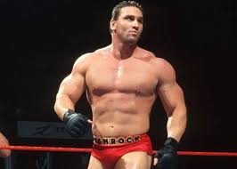 Name a wrestler you feel should have been WWE Champion (Specifically that champion) but never got that chance.

I'll start