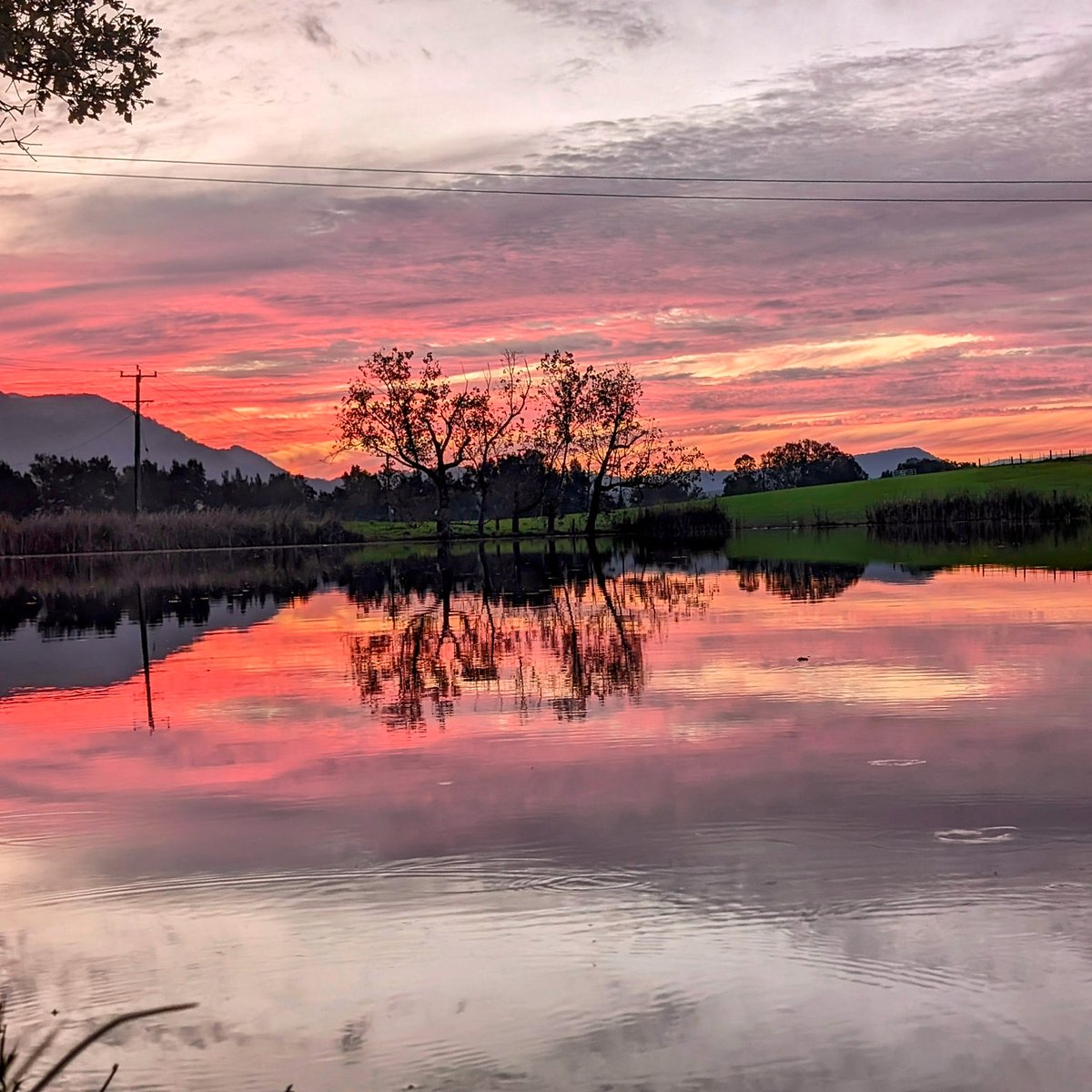 A couple of photos of yesterday's sunset