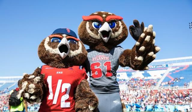 Alumni Family!
Happy #throwbackthursday, featuring everyone’s favorite owl! 🦉 Comment below and show us your photo with Owlsley!