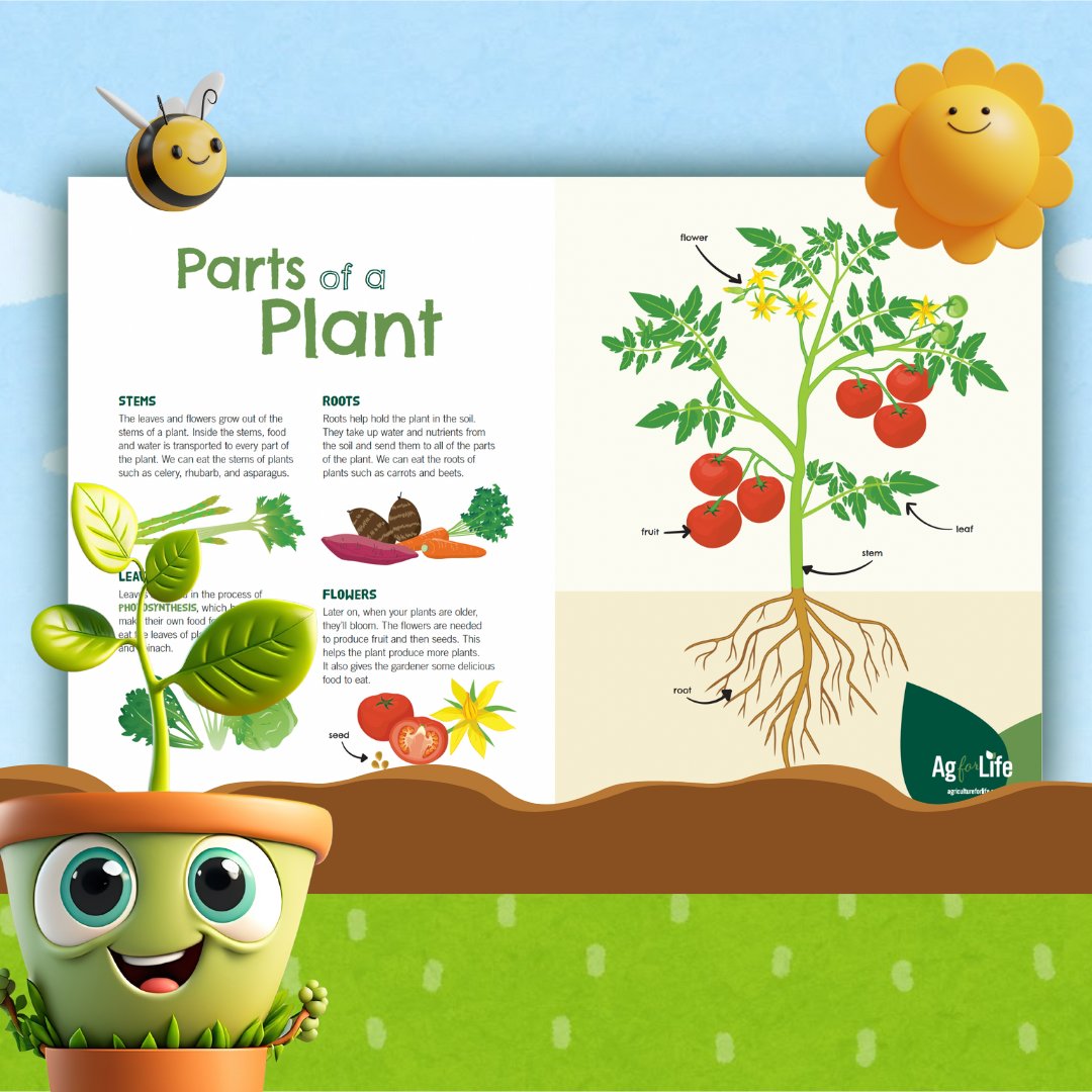Hey #teachers, have you started your spring planting? 🌱🌿Check out our fantastic 'Parts of a Plant' poster. Hang it up and watch as it sparks curiosity and inspires your students to explore the exciting world of edible plants. Order yours today: agricultureforlife.ca/shop