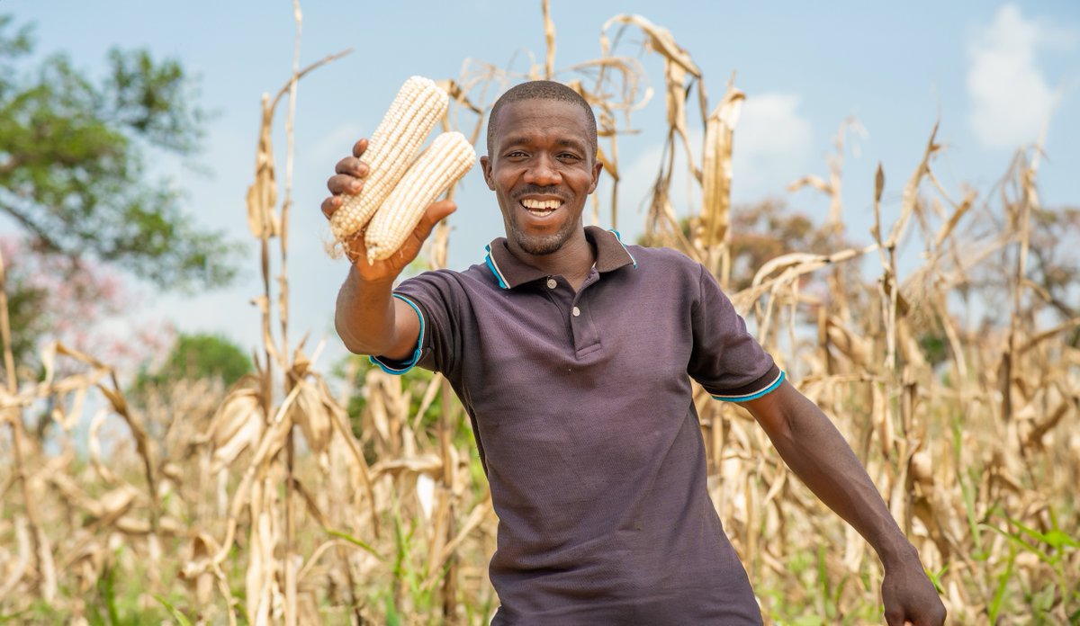 Read how GOAL's Markets for Youth Programme, supported by the @MastercardFdn, helps Ugandan youth like Jonan Alinda find dignified and fulfilling employment. Facing challenges after graduation, Jonan found success in commercial agriculture. ⬇️ bit.ly/4bxftjT