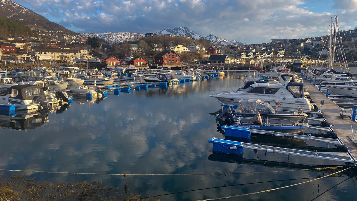 rossmackenzie's tweet photo. Wandering around the Narvik marina in the evening sunshine #Narvik #Norway #68N https://t.co/ZbfyAYbvva